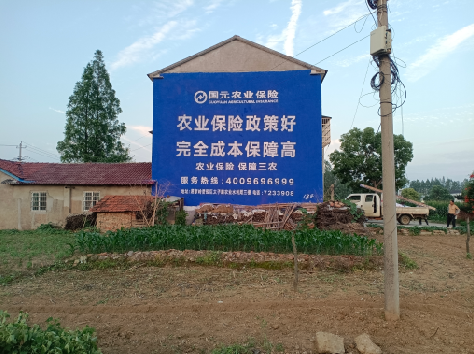 广元墙体广告的优劣势你知道吗？