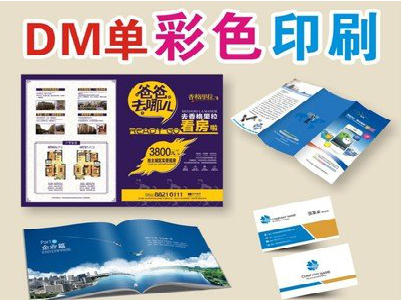广元单页印刷，色彩搭配简单。